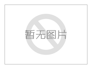 DMGIS-GPS车辆调度指挥系统